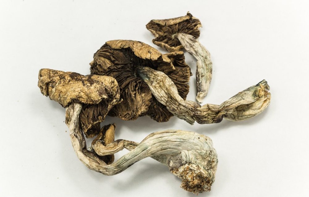 Kerouac’s Bad Trip