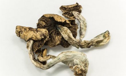 Kerouac’s Bad Trip