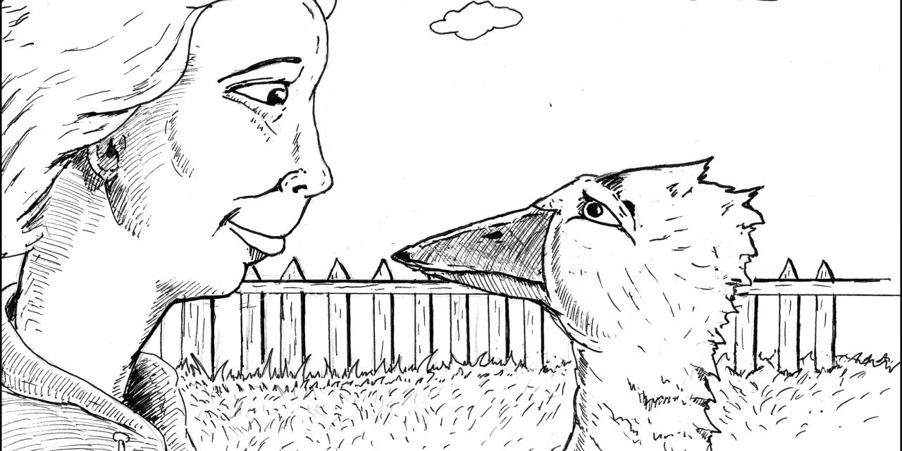 Meat from Craigslist