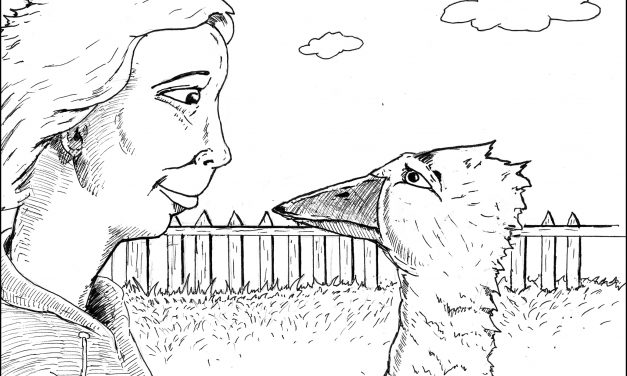 Meat from Craigslist