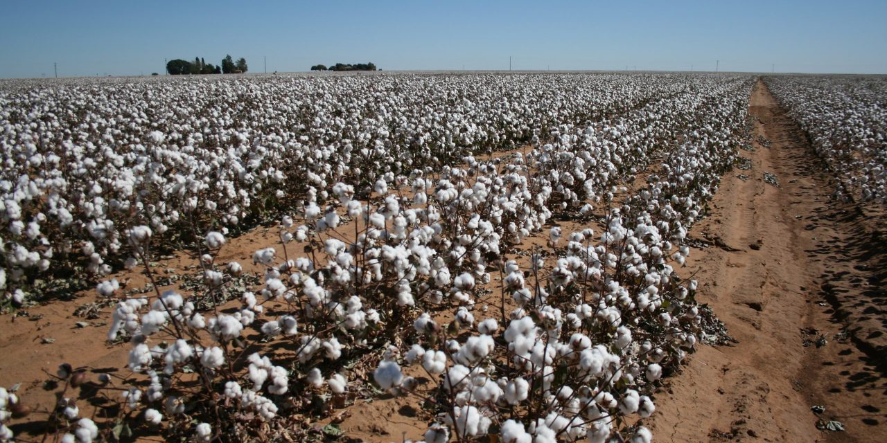 Billy Burroughs: Gentleman Farmer