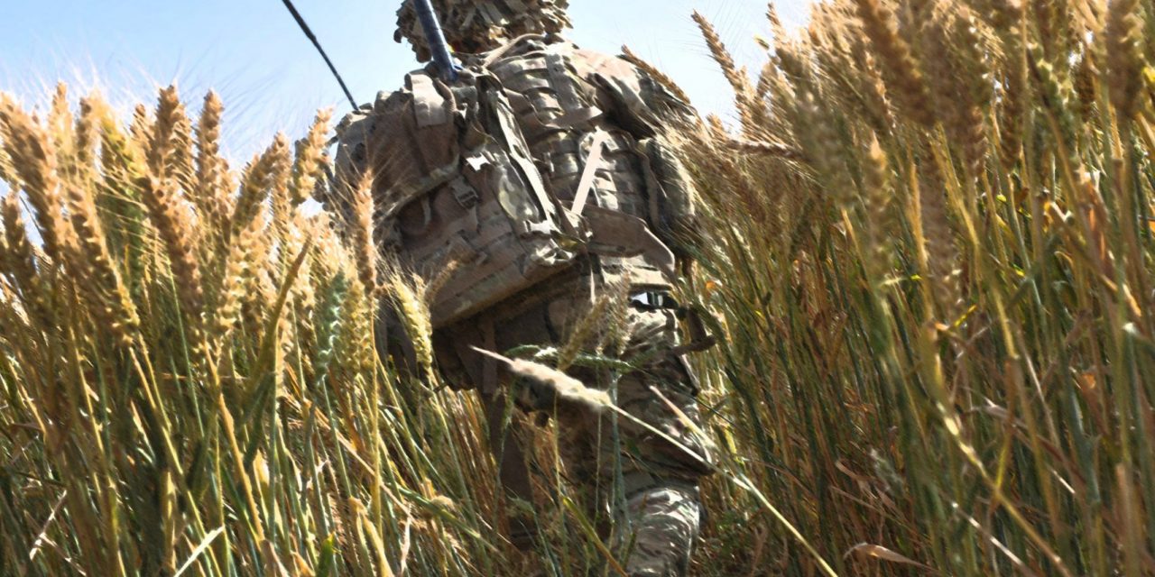 Announcing The Sane Asylum