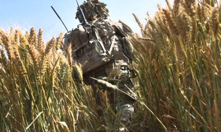 Announcing The Sane Asylum