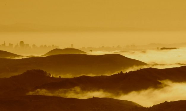 Gary Snyder: Heart-Beat – A Diptych