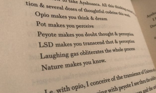 A Shoe that Fits the Mind – Ginsberg’s South American Journals